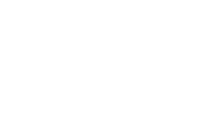 Vans logo